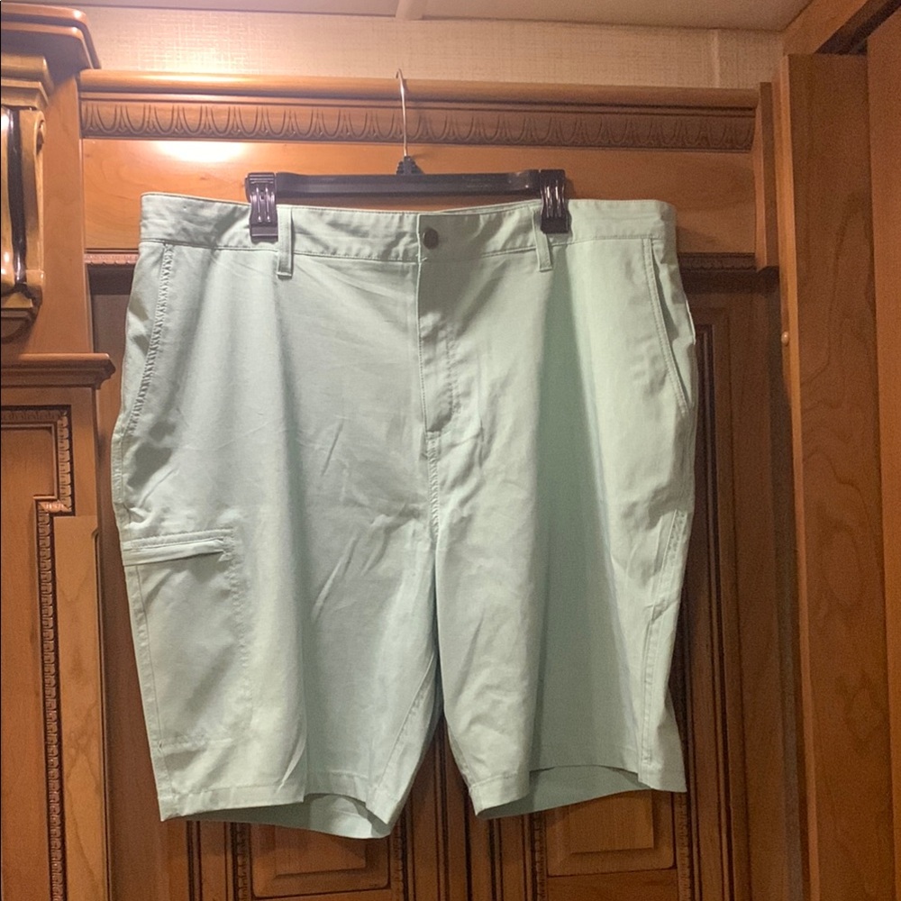 Panama Jack Flat Front Stretch Light Mint Green Shorts Size 40
